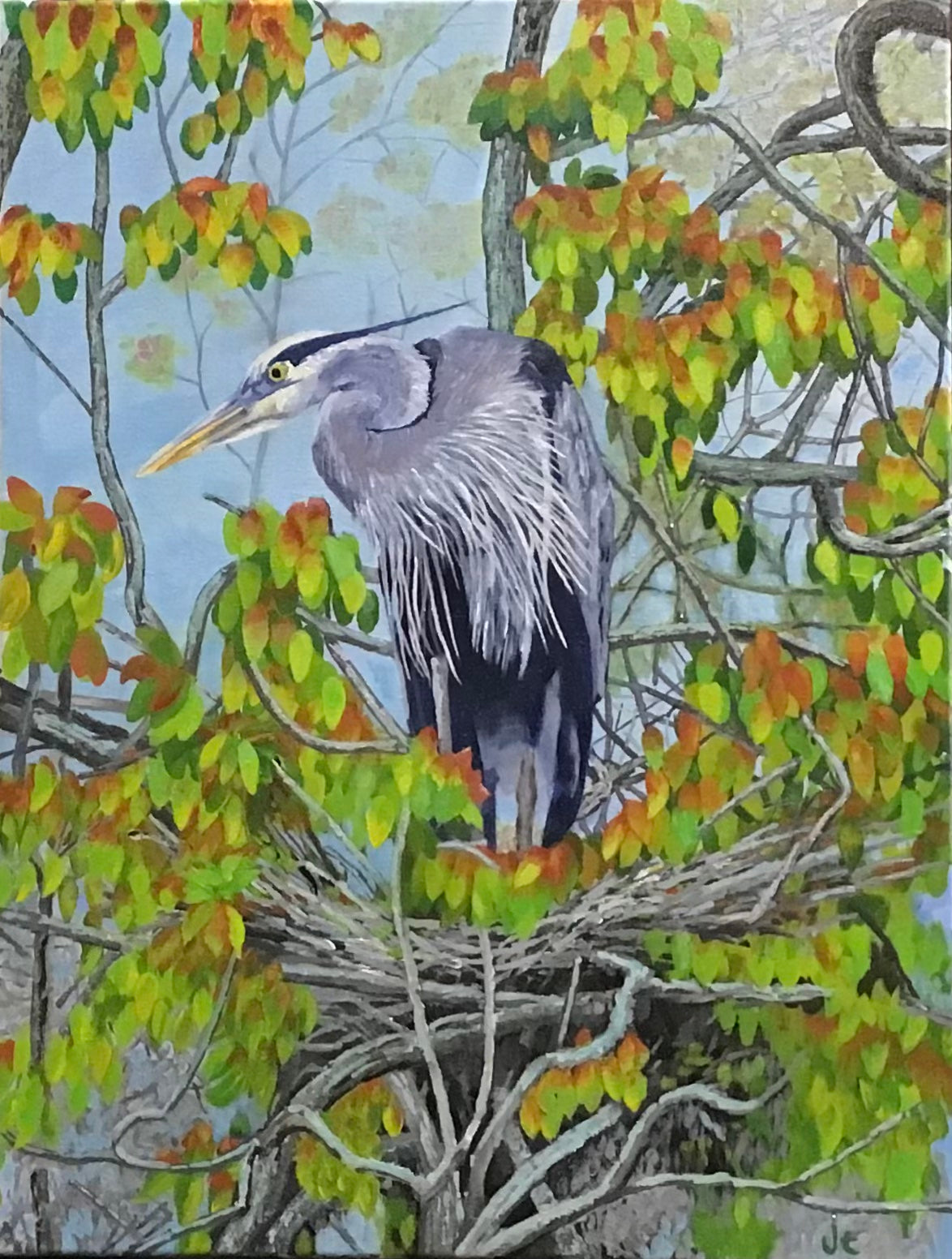 Nesting Blue Heron (Original)