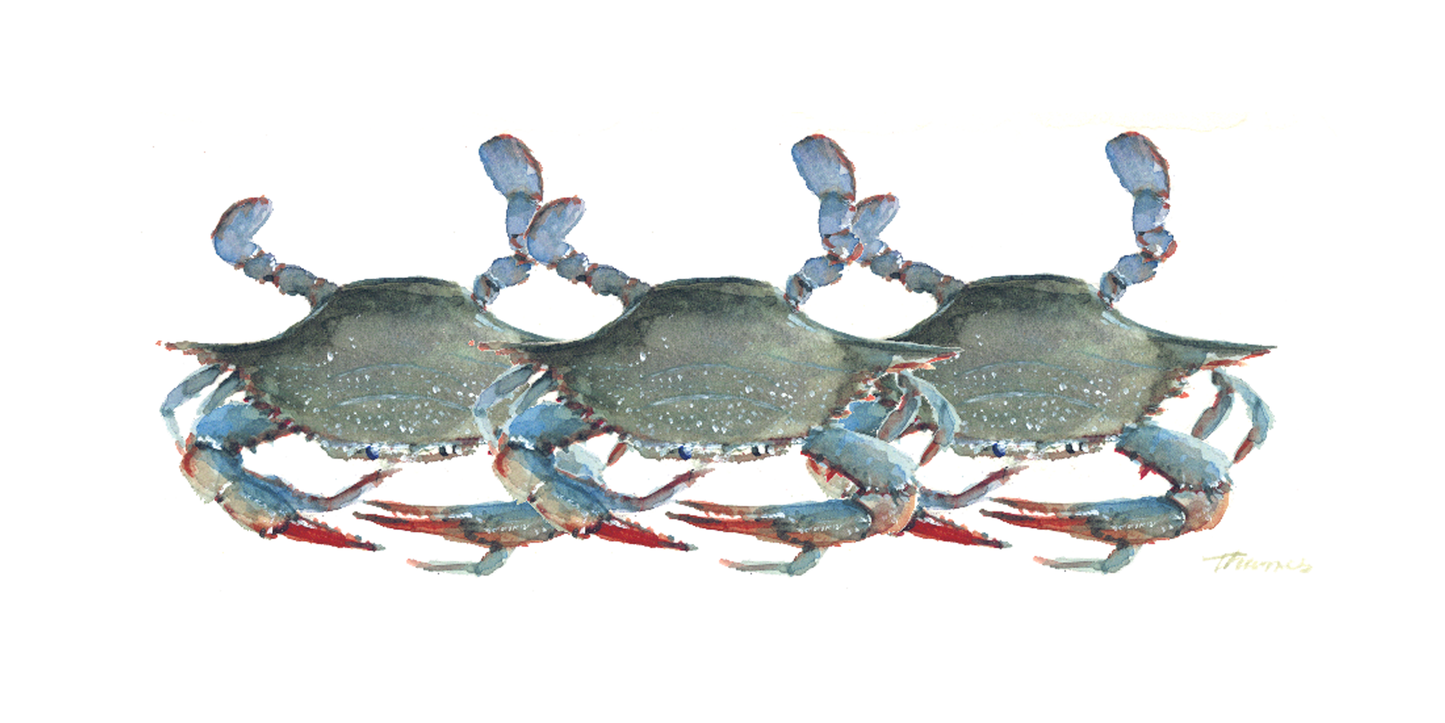 Blue Crabs