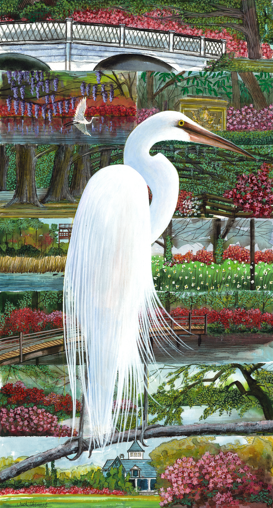 Magnolia Egret