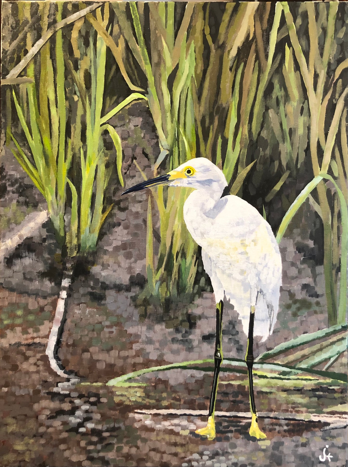 Snowy Egret 2 (Original)