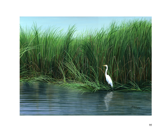 Marsh Grass and Egret