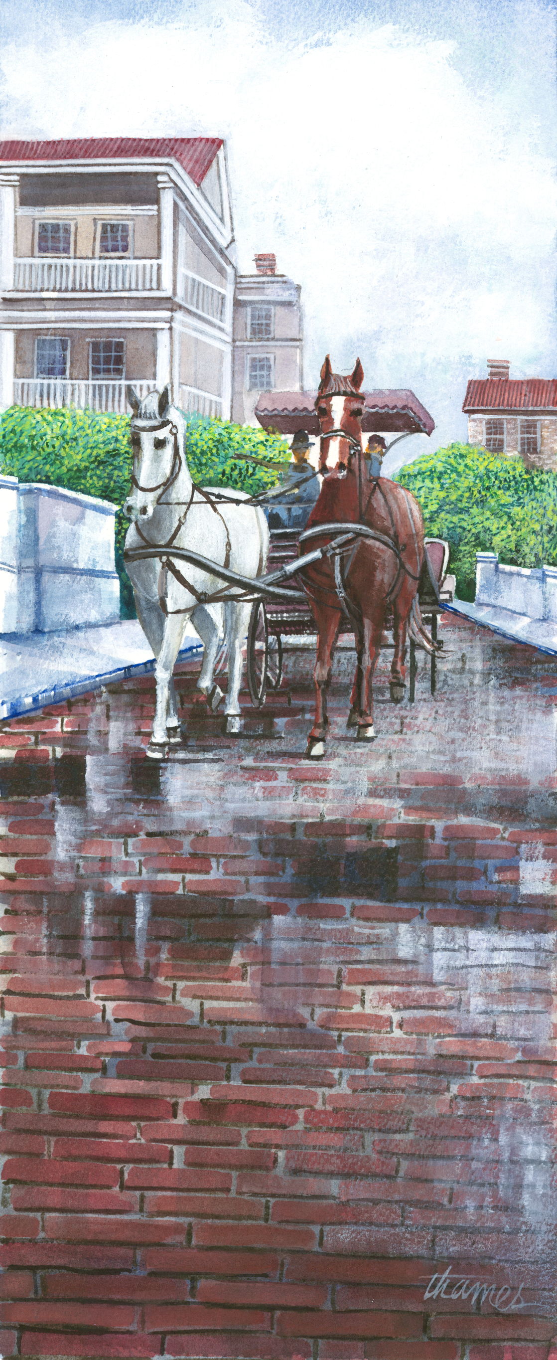 Charleston Carriage