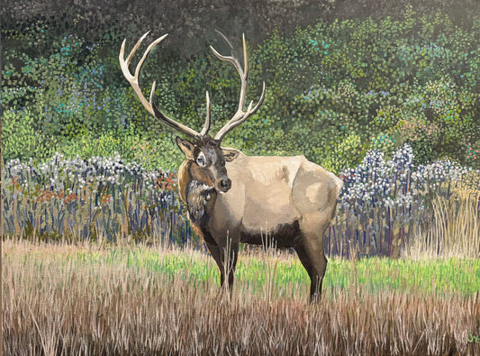 Elk (Original)