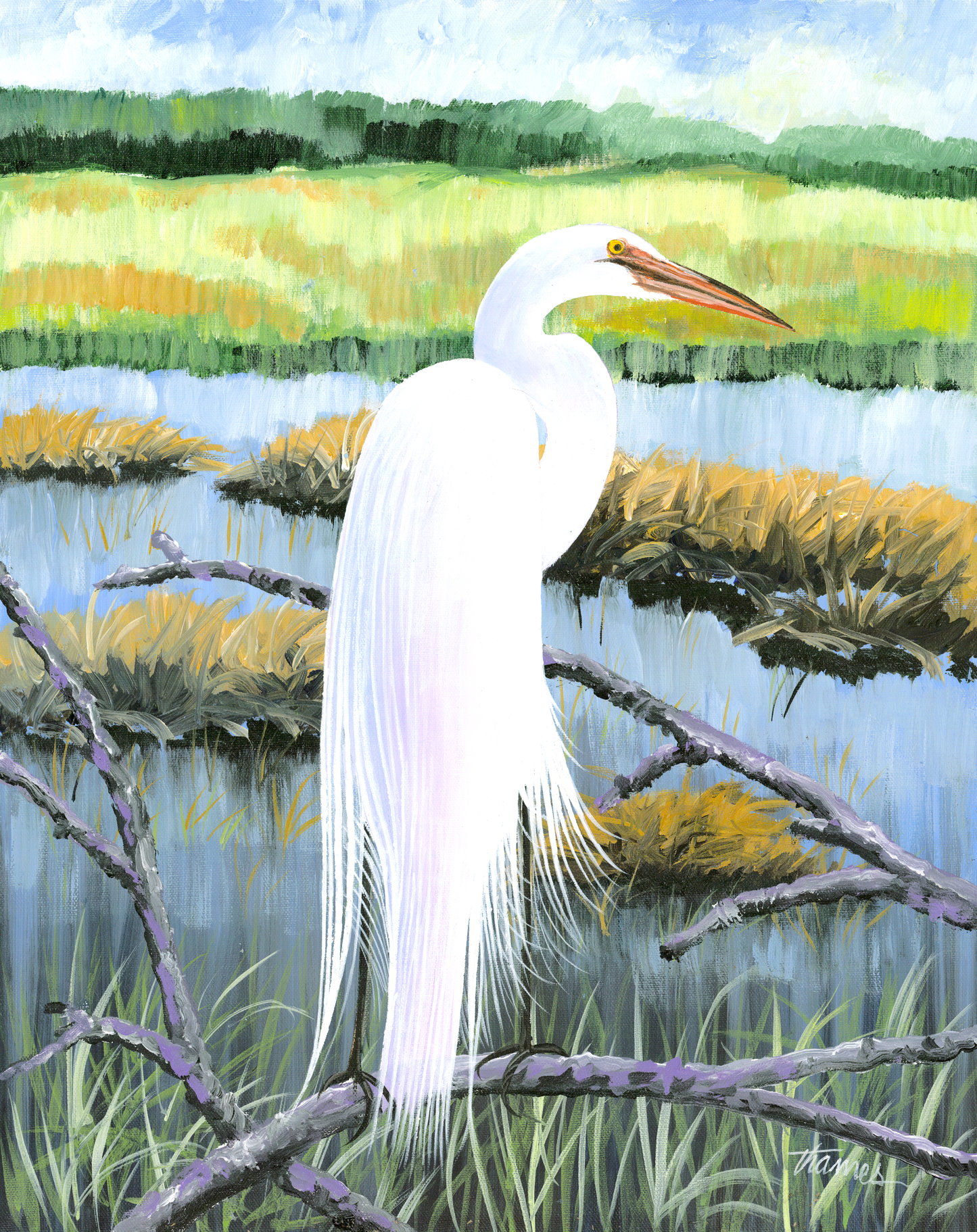 White Egret