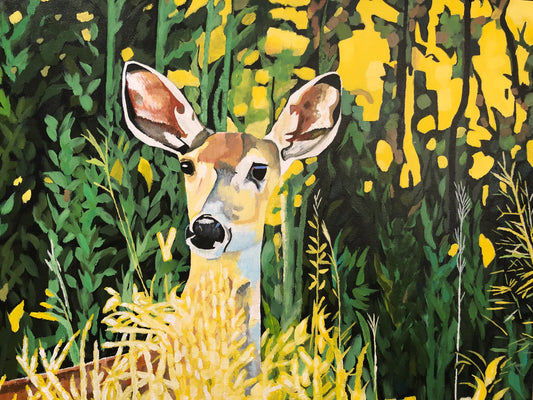 Colorado Deer at Daybreak (Original)